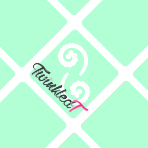 Paisley Swirl Vinyls - Image 8