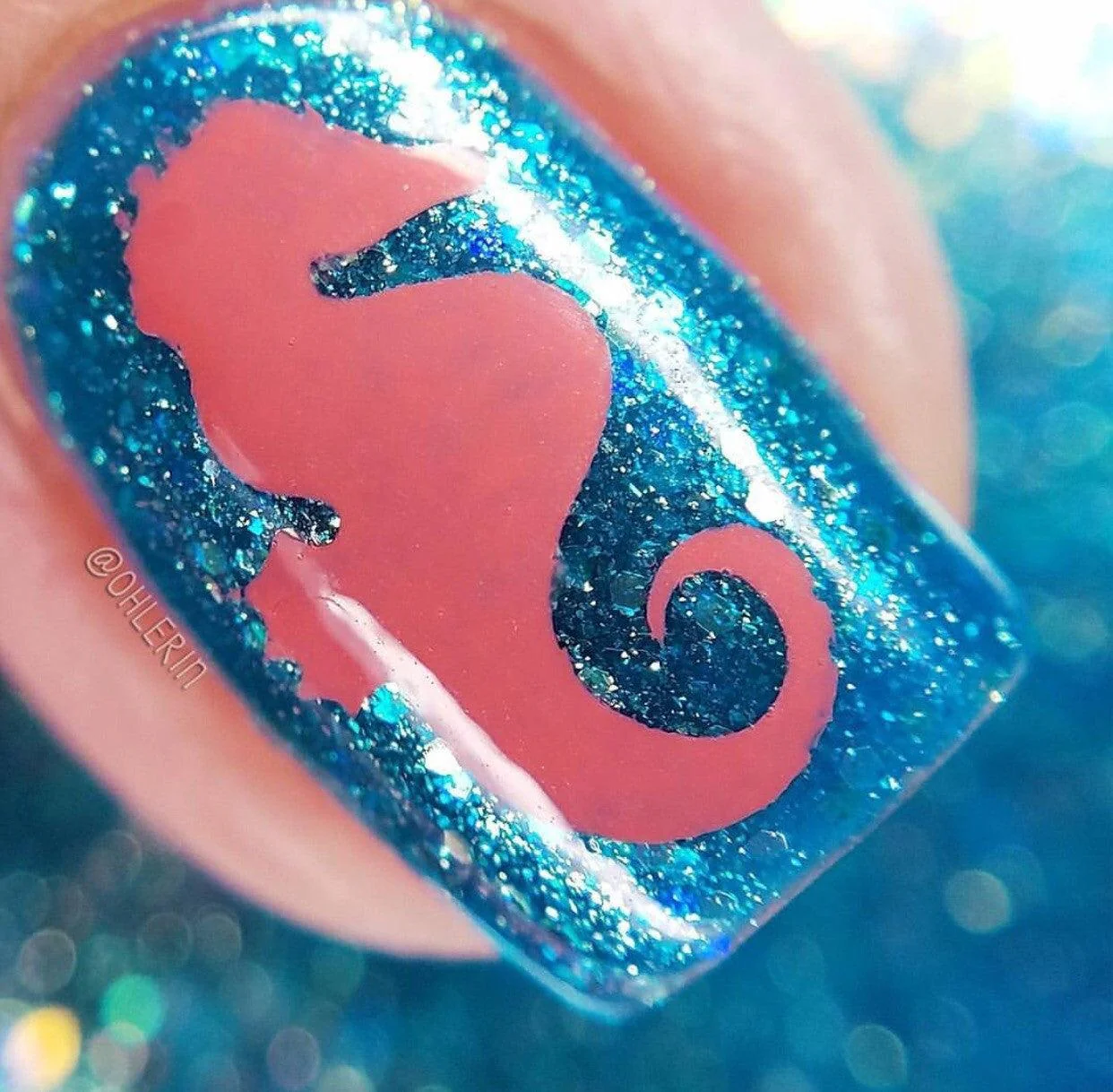 Seahorse Vinyls - Image 2